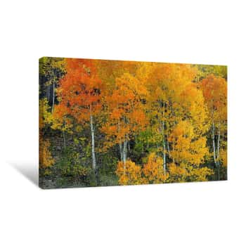 Image of Autumn Serenity Canvas Print