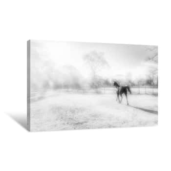 Image of Field of Hope Canvas Print