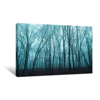 Image of Foggy Barren Trees 4 Canvas Print