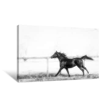 Image of In the Wind Canvas Print