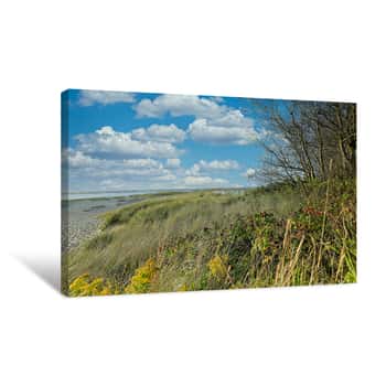 Image of Morning on Cape Cod Canvas Print
