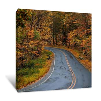 Image of Road Through an Autumn Forest 1 Canvas Print