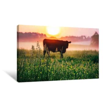 Image of Cow Sunrise Canvas Print