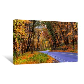 Image of Road Through an Autumn Forest 2 Canvas Print