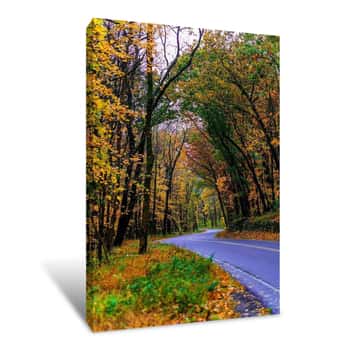 Image of Road Through an Autumn Forest 3 Canvas Print