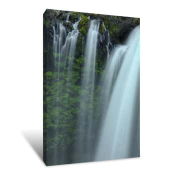 Image of Drapes of Grace Canvas Print