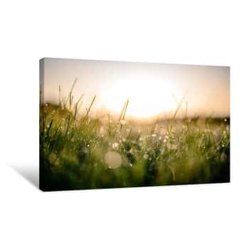 Image of Damp Morning Canvas Print