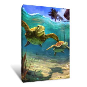 Image of Turtles   Canvas Print
