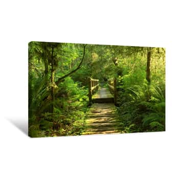 Image of Walk in the Woods Canvas Print