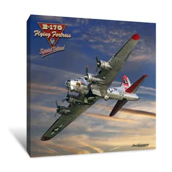 Image of B-17 Special Delivery Canvas Print