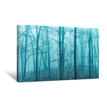 Image of Foggy Barren Trees 5 Canvas Print