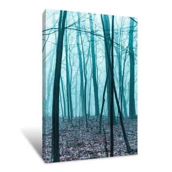 Image of Foggy Barren Trees 6 Canvas Print