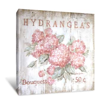 Image of Coral Hydrangeas Canvas Print
