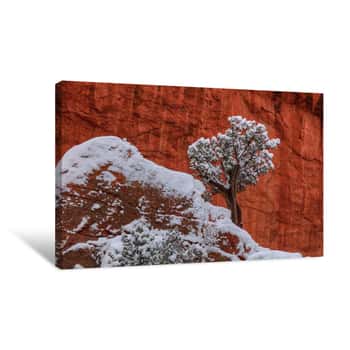 Image of Perch Canvas Print