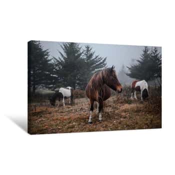 Image of In the Wild Canvas Print