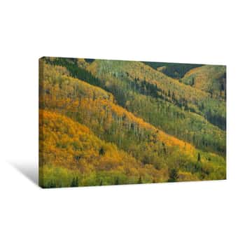 Image of Rows of Color Canvas Print