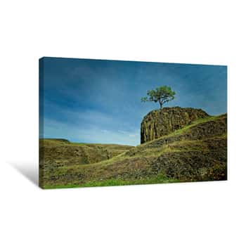 Image of Table Mountain Oak Canvas Print