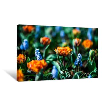 Image of Orange and Blue Flowers Canvas Print