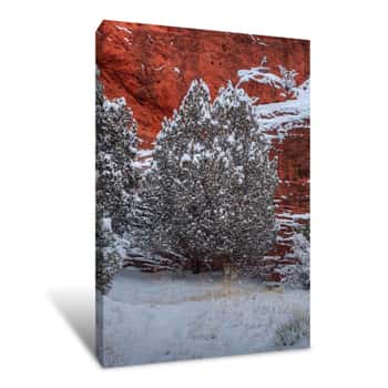 Image of Snow Trees Against a Canyon Wall Canvas Print