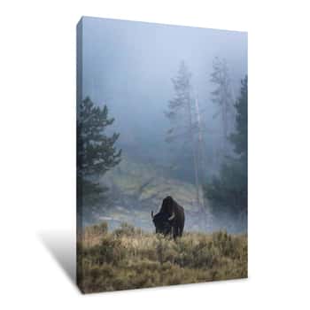 Image of Lone Bison Canvas Print