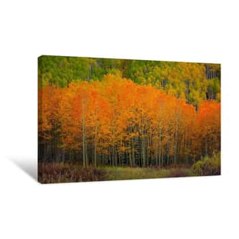 Image of The Flames of Autumn Canvas Print