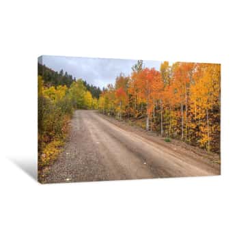 Image of The Road to Color Canvas Print