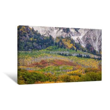 Image of Up Against a Wall Canvas Print