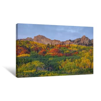 Image of A Crown Of Color Canvas Print