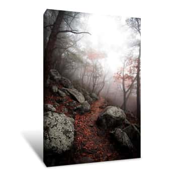 Image of Moody Forest    Canvas Print