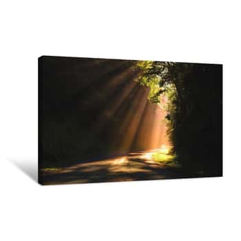 Image of Morning Rays     Canvas Print