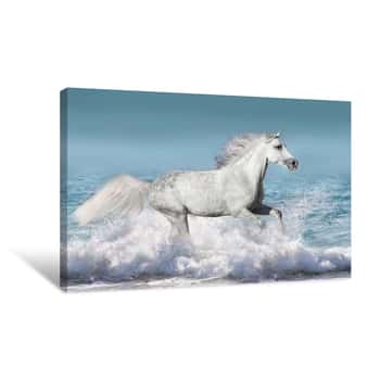 Image of White Stallion Run Gallop In Waves In The Ocean Canvas Print