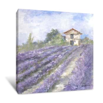 Image of Lavender Fields - Canvas Print