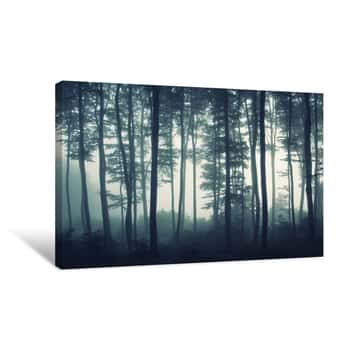 Image of Edge Of Forest In Mist Canvas Print