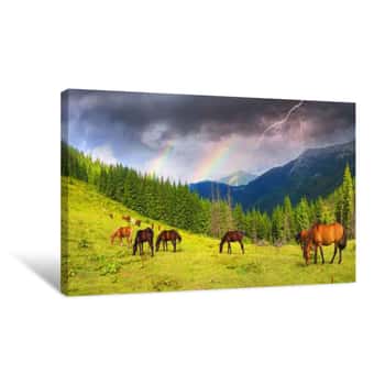 Image of Carpathian Mustangs In Gorgany Canvas Print 2