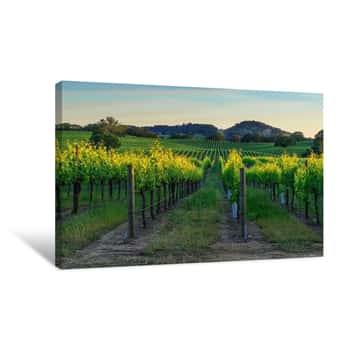 Image of Sunset In The Vineyards Of Sonoma Canvas Print