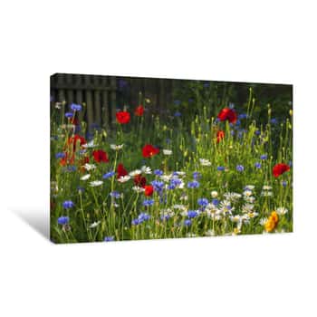 Image of Blooming Wild Flowers On The Meadow At Summertime Canvas Print