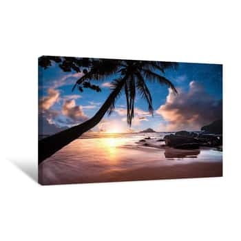 Image of Palm Tree Beach Canvas Print