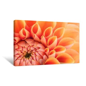 Image of Orange Flower Petals, Close Up And Macro Of Chrysanthemum, Beautiful Abstract Background Canvas Print