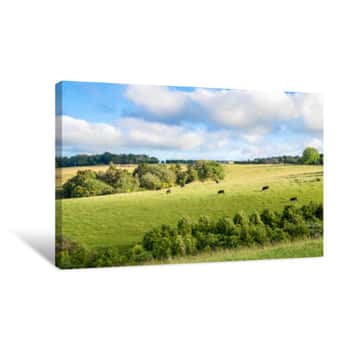 Image of New Zealand Peaceful Farmland And Grazing Cows Canvas Print