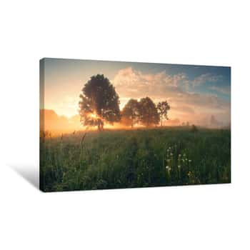Image of Colorful Spring Sunrise On Meadow Canvas Print