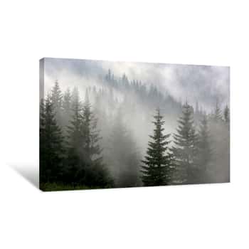 Image of Pine Forest In Mist Canvas Print