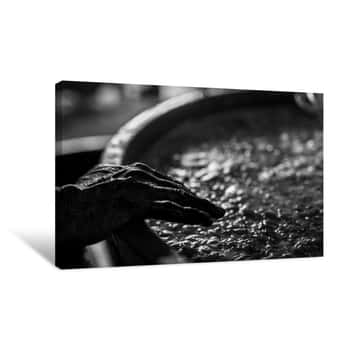 Image of Grape Harvest: Black And White Picture Of A Silhouette Farmer Hand On A Wine Press With  Must  Canvas Print