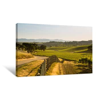 Image of Road Next To Lush California Viineyard, Santa Ynez, CA Canvas Print