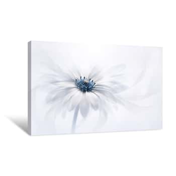 Image of White and Blue Flower Canvas Print
