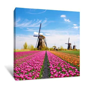 Image of A Magical Landscape Of Tulips And Windmills In The Netherlands Canvas Print