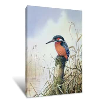 Image of Kingfisher Canvas Print