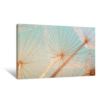 Image of Blue Abstract Dandelion Flower Background, Extreme Closeup With Soft Focus, Beautiful Nature Details Canvas Print