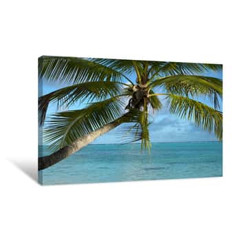 Image of Palm Sun Canvas Print