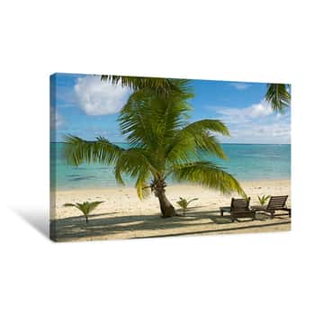 Image of Chairs, Palms, Beach Canvas Print