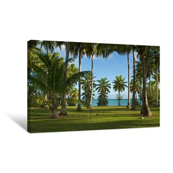 Image of Meadow of Palms Canvas Print